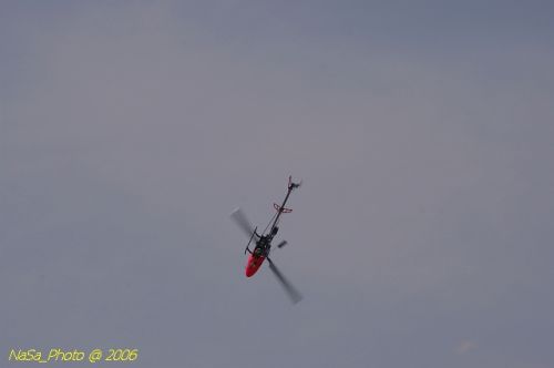 DSC_8459.jpg
