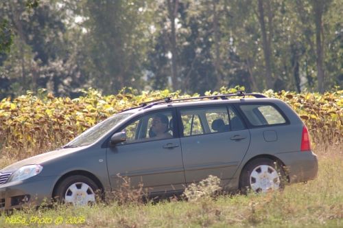DSC_8462.jpg