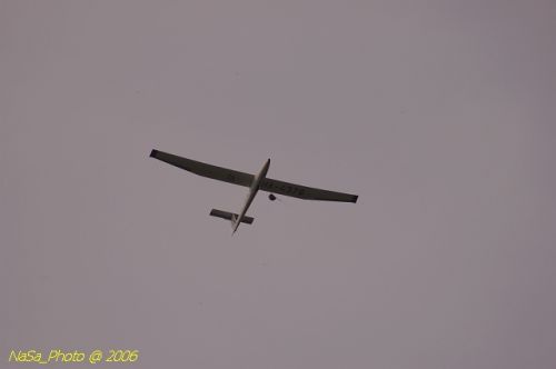 DSC_8474.jpg
