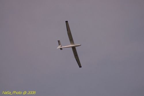 DSC_8475.jpg