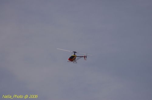 DSC_8479.jpg