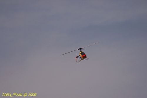 DSC_8480.jpg