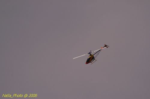 DSC_8482.jpg