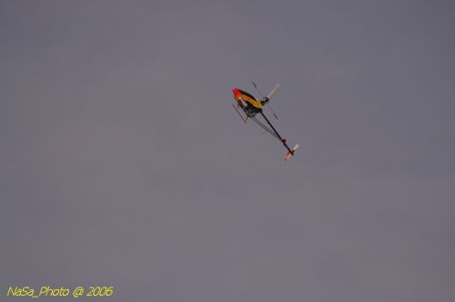 DSC_8483.jpg