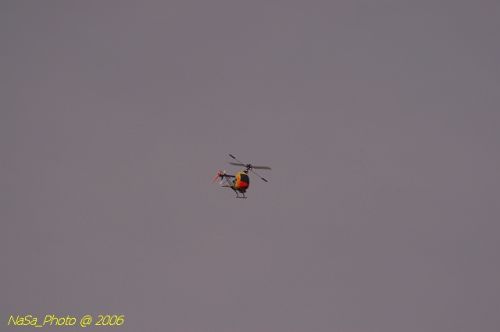 DSC_8484.jpg