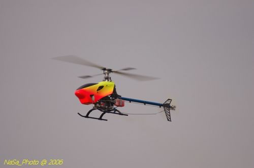 DSC_8489.jpg
