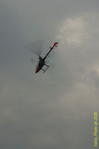 DSC_0018.jpg