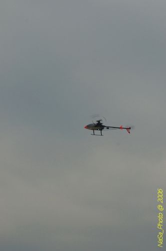 DSC_0019.jpg
