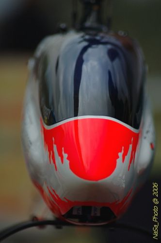 DSC_0049.jpg