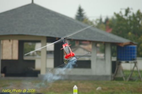 DSC_9909.jpg