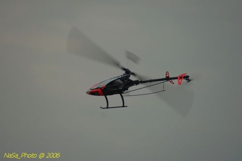 DSC_9978.jpg