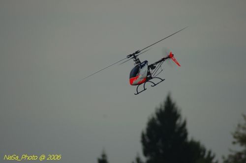DSC_9980.jpg
