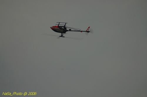 DSC_9982.jpg