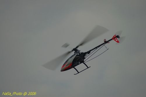 DSC_9984.jpg