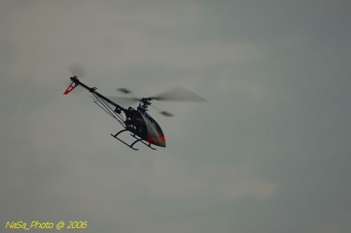 DSC_9985.jpg