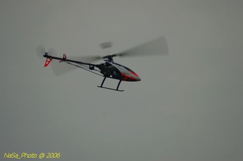DSC_9987.jpg