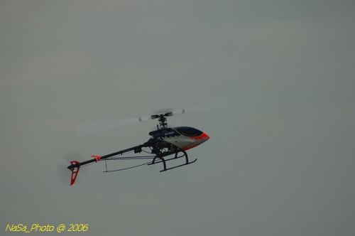 DSC_9989.jpg