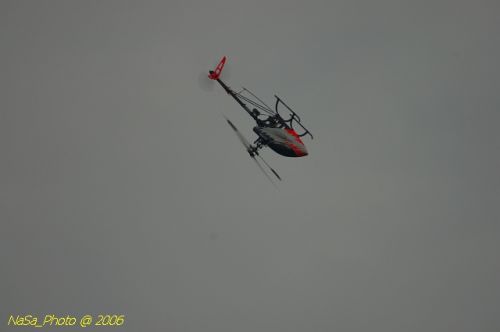 DSC_9992.jpg