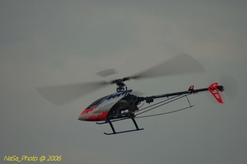 DSC_9996.jpg