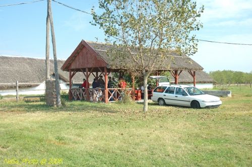 DSC_0333.jpg