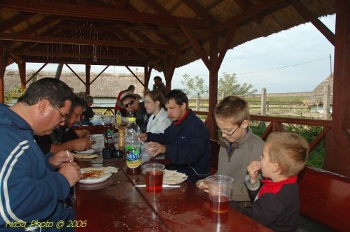 DSC_0342.jpg
