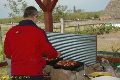 DSC_0344.jpg
