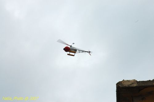 DSC_0816.jpg