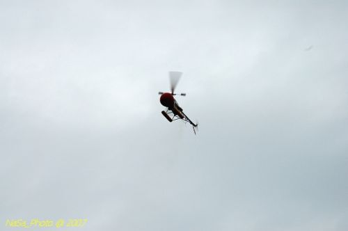 DSC_0821.jpg
