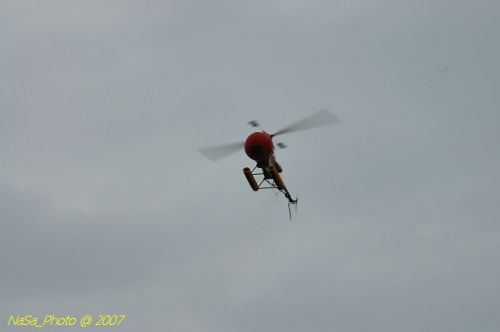 DSC_0825.jpg