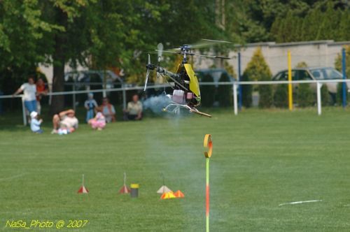 DSC_1594.jpg