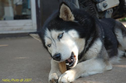 DSC_1732.jpg