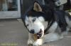 DSC_1732.jpg