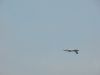 DSCN2984.JPG