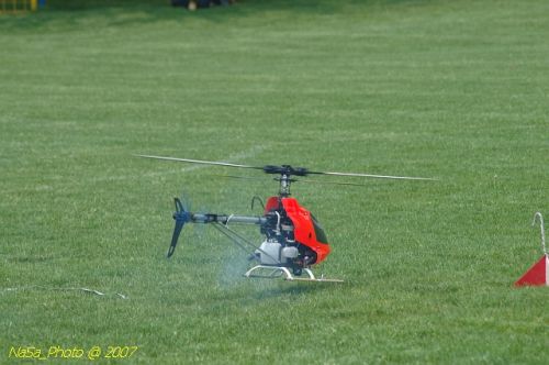DSC_1635.jpg