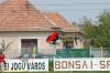 Filename=DSC_1634.jpg
Filesize=207KiB
Dimensions=640x425
Date added=May 10, 2007 DSC_1634.jpg