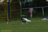 Filename=DSC_1643.jpg
Filesize=164KiB
Dimensions=640x425
Date added=May 10, 2007 DSC_1643.jpg