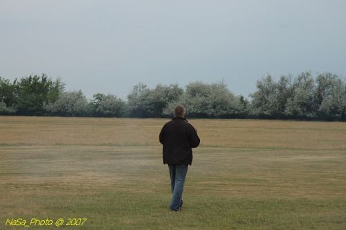 DSC_2324.jpg