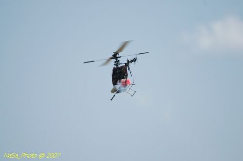 DSC_3344.jpg