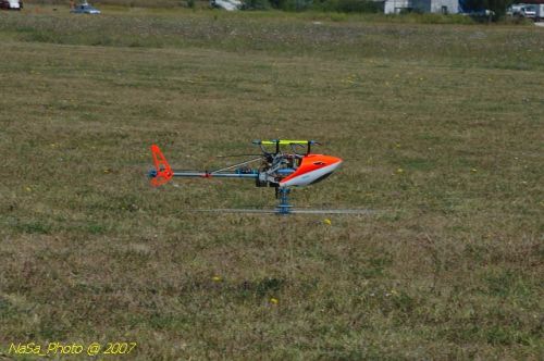 DSC_3348.jpg