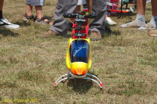 DSC_3354.jpg