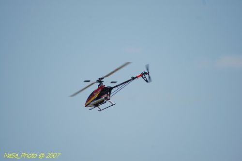 DSC_3376.jpg