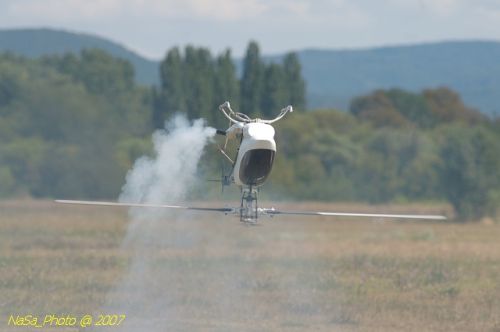 DSC_3383.jpg