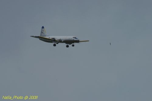 DSC_6146.jpg