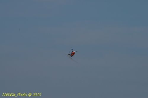 DSC_4165.JPG