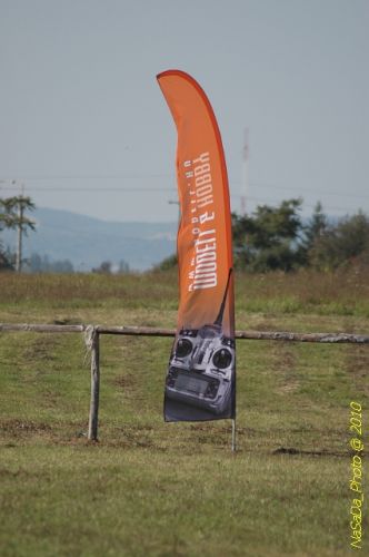 DSC_4216.JPG
