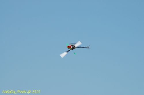 DSC_4217.JPG