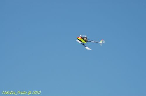DSC_4228.JPG