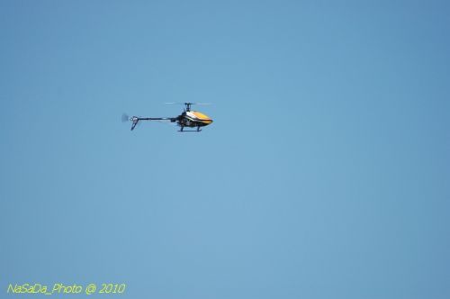 DSC_4238.JPG