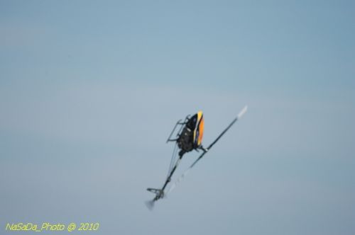 DSC_4240.JPG