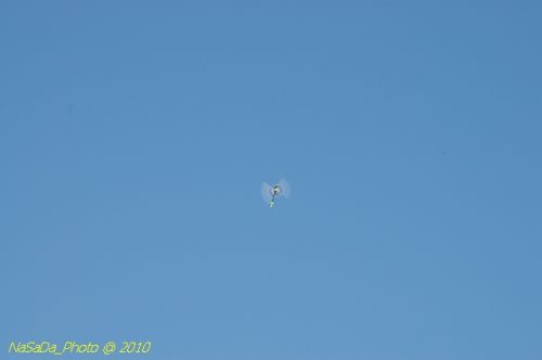 DSC_4263.JPG